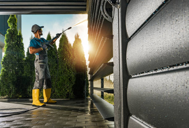 Best Sidewalk and Walkway Cleaning  in Sullivan City, TX